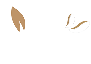 LedmaCafe